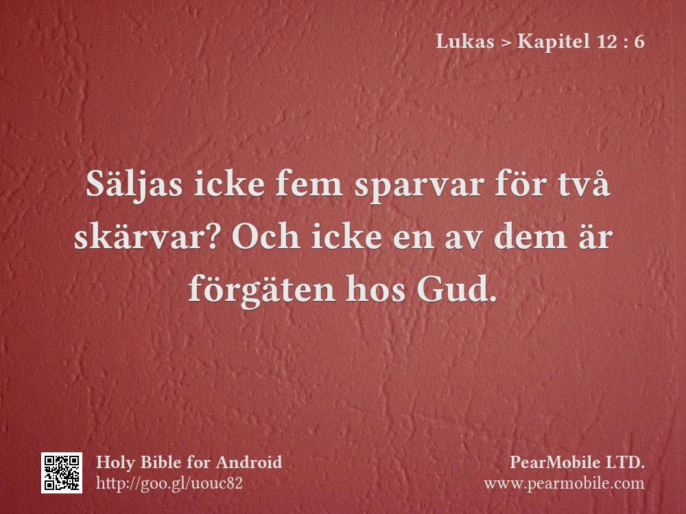 Lukas, Kapitel 12:6